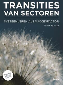 Transities van sectoren - Boek Esther de Haan (9024404649)