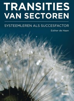 Transities van sectoren - Esther de Haan - ebook