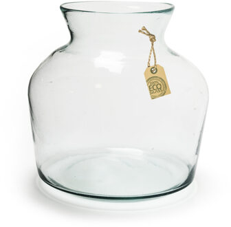 Transparante Eco terrarium vaas/vazen van glas 25 x 24 cm