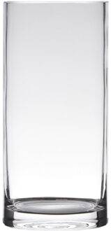 Transparante home-basics cylinder vorm vaas/vazen van glas 20 x 12 cm - Vazen