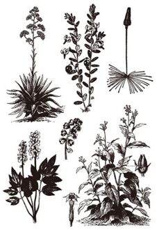 Transparante Postzegels Plant Bloem Clear Stempel Rubber Siliconen Scrapbooking voor Card Making Album Craft Decoratie Stempel