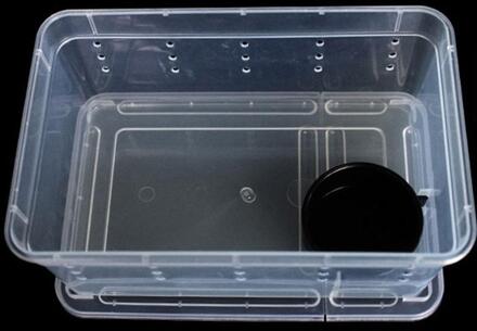 Transparante Voerbox Reptiel Doos Amfibie Voor Snake Kooi Lizard Spider Reptiel Combinatie groot