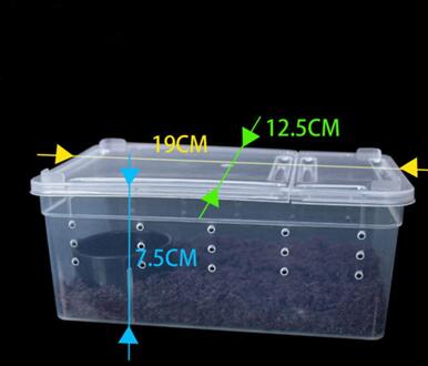 Transparante Voerbox Reptiel Doos Amfibie Voor Snake Kooi Lizard Spider Reptiel Combinatie klein