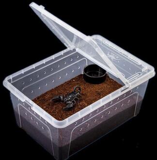 Transparante Voerbox Reptiel Doos Amfibie Voor Snake Kooi Lizard Spider Reptiel Combinatie medium