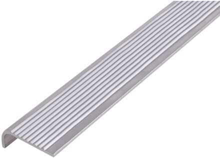 Trapbeschermingslijst Aluminium Natuur 30x2x6mm 1m