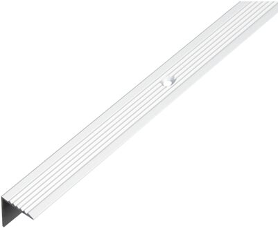 Trapbeschermingslijst Aluminium Zilverkleurig Geëloxeerd 19x2x19mm 1m