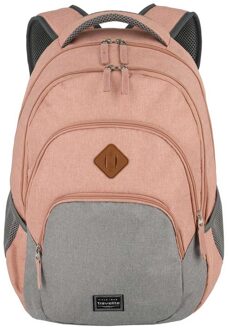 Travelite Basics Backpack Melange rose/grey backpack Roze - H 45 x B 31 x D 16