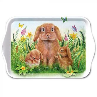 Tray Rabbit Family 13x21cm Multikleur