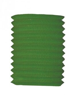 Treklampion groen 16 cm diameter