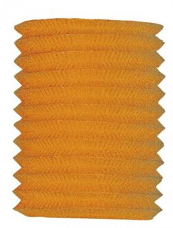 Treklampion oranje 16 cm diameter