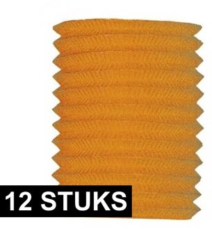 Treklampion voor feest/verjaardag - 12x - oranje - 16 x 20 cm - feestartikelen/versiering - papier