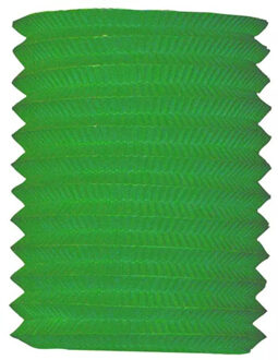 Treklampion voor feest/verjaardag - groen - 16 x 20 cm - feestartikelen/versiering - papier