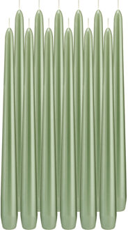 Trend Candles 12x Pastelgroene parelmoer dinerkaarsen 30 cm 13 branduren