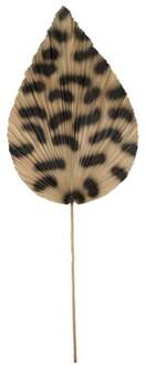 Trendhopper Droogbloem Banana Bruin - - Breedte: 33.00 cm