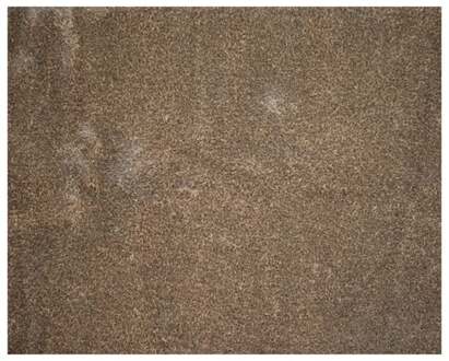 Trendhopper Vloerkleed Vernissage beige mix 200x250 - - Breedte: 200.00 cm