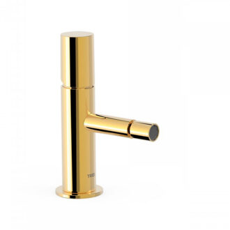 Tres Bidetmengkraan Tres Study Exclusive 1-Knop Uitloop Recht 8 cm Rond Goud
