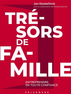 Trésors de famille - Jan Oosterlinck, Mathieu Decroix - ebook
