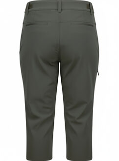 Trespass Dames/Dames Agneta DLX 3/4 lange broek (Rookgroen) Salie Groen - M