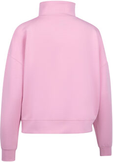 Trespass Dames/Dames Jean Half Zip Sweatshirt (Anjer) Roze - 2XS