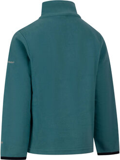Trespass Jongens Etto Airtrap Microfleece (Licht Teal) - maat Groenblauw