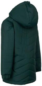 Trespass Kinder/Kids Andee Gewatteerd Casual Jasje (Pijnboom) - maat 7-8J / 122-128cm Groen