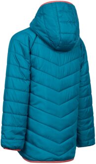Trespass Kinder/Kinder Valard gewatteerd jack (Licht Teal) - maat 7-8J / 122-128cm Groenblauw
