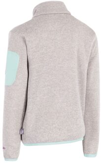 Trespass Kinder/Kinder Whisk AT300 Fleecejack (Lichtgrijs)