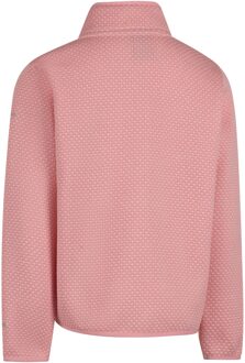 Trespass Kinderen Ellbar AT300 Fleece Jas (Babyroze) - 9-10J / 134-140cm