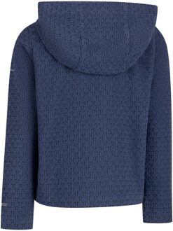Trespass Kinderen Everild AT200 Fleece Jacket (Blauwe Tint) - maat 11-12J / 146-152cm