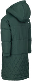 Trespass Orrin jas voor kinderen Groen