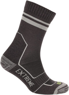 Trespass Unisex Volwassen Dvander Sokken (Pack van 2) (Zwart/Donkergrijs) - EU 36-39