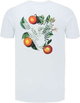 Triangle orange branch t-shirt mint Groen - XS