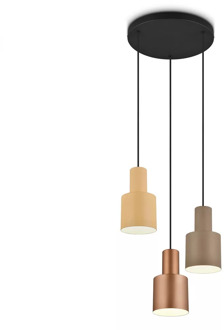 TRIO Agudo Hanglamp 3x E27