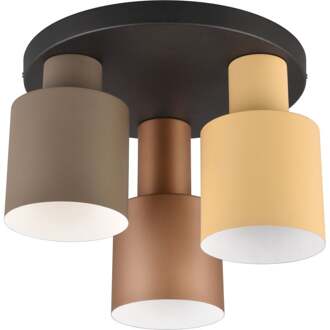 TRIO Agudo Plafondlamp 3x E27