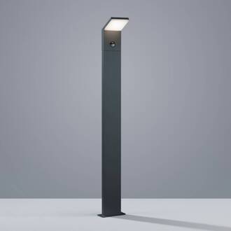 Trio International Pearl Paal met bewegingssensor Grijs