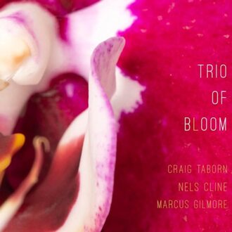 Trio Of Bloom - Trio Of Bloom