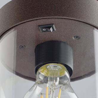 TRIO Sambesi Buitenpaal met sensor Bruin