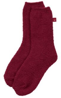 Triumph Lounge Me Cosy Sock * Actie * Rood - One Size
