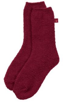 Triumph Lounge Me Cosy Sock Rood - One Size
