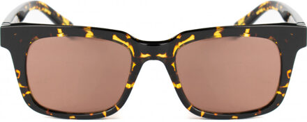 TRIUMPH-S101 TRIUMPH 52 S101 Zonnebril Bruin - One Size