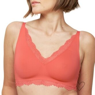 Triumph Summer Sensation N01 * Actie * Rood - C 70,C 75,C 80,C 85,C 90,C 95,D 70,D 75,D 80,D 85,D 90,E 75,E 80,E 90,E 95,F 75,F 80,F 85,F 90