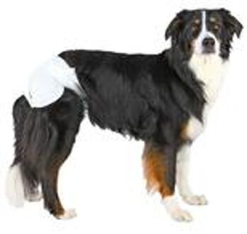 Trixie Diapers for Female Dogs - M/L - 12 stuks