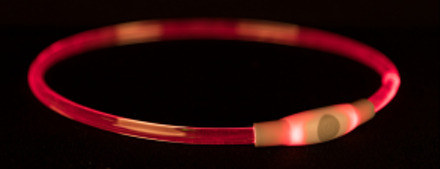 Trixie Halsband Usb Flash Light Lichtgevend Oplaadbaar Rood