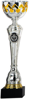 Trofee - 30 x 8 cm - prijs beker cup - zilver/goud - kunststof