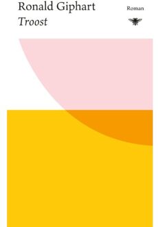 Troost - Ronald Giphart