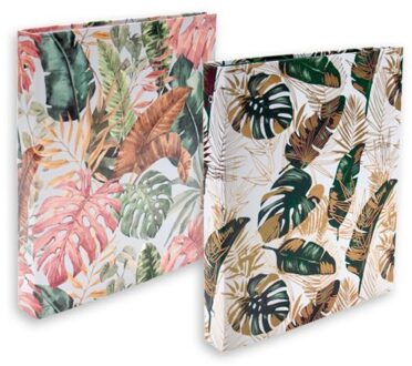 Tropic ringband map 2 rings, assorti