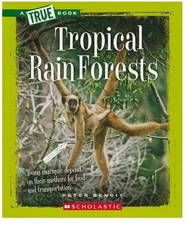 Tropical Rain Forests