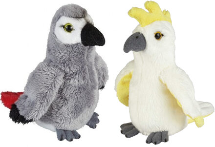 Tropische vogels pluche knuffels 2x stuks - Kaketoe en Papegaai van 15 cm