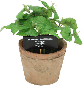 True to Nature Esschert Design Kunstplant/kruiden basilicum - in oude terracotta pot - 18 cm - kruiden - Kunstplanten Bruin