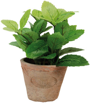 True to Nature Esschert Design Kunstplant/kruiden munt - in oude terracotta pot - 16 cm Multi